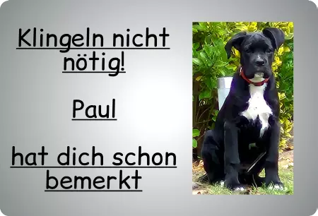 TierschildHunde Klingeln nicht nötig! Bild