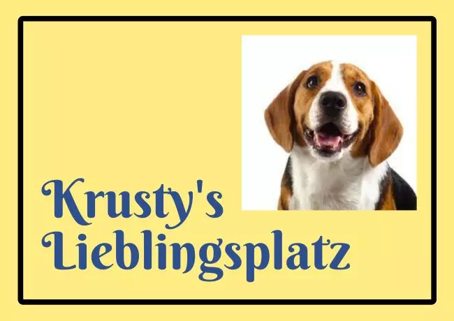TierschildHunde Krusty Bild