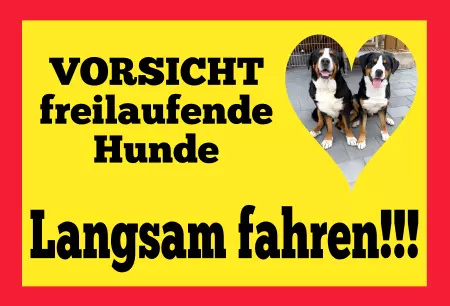 TierschildHunde Langsam fahren - Hunde Bild