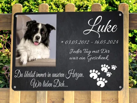TierschildHunde Luke Bild