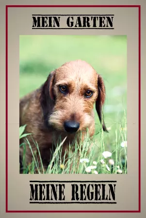 Tierschild Hunde MEIN GARTEN - MEINE REGELN Bild