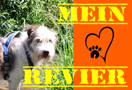 TierschildHunde Mein Revier Bild