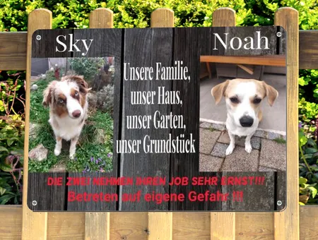TierschildHunde Sky & Noah Bild