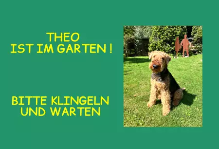 Tierschild Hunde Theo ist im Garten! Bild