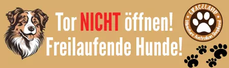 TierschildHunde Tor NICHT öffnen! Bild