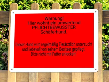 TierschildHunde Umwerfend pflichtbewusster Hund Bild
