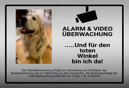 TierschildHunde ... und für den toten Winkel bin ich da! Bild
