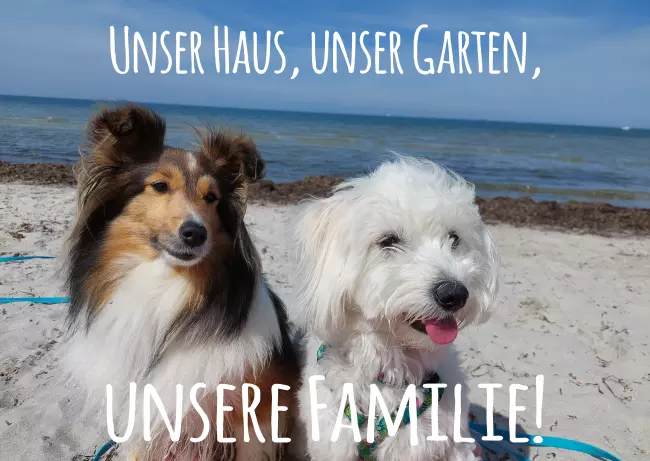 TierschildHunde Unser Haus, unser... Bild