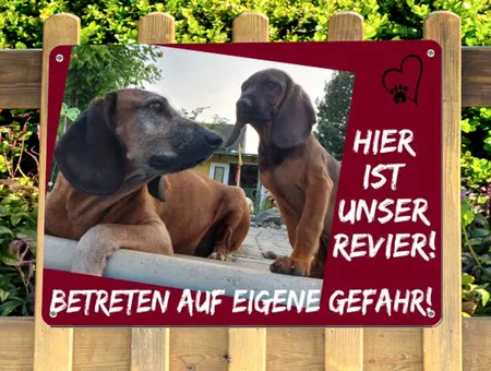 TierschildHunde Unser Revier! Bild