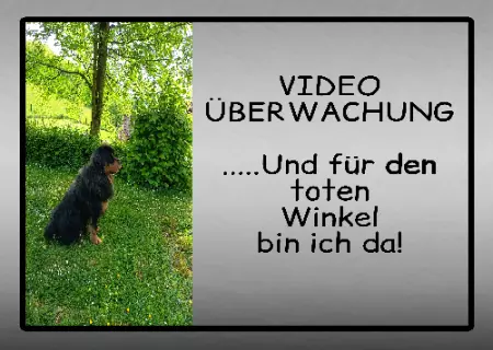TierschildHunde VIDEO ÜBERWACHUNG ... Bild