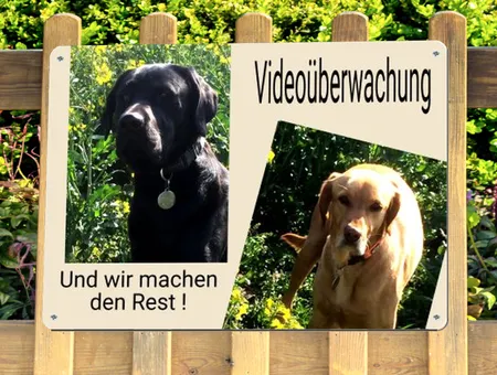 TierschildHunde Videoüberwachung Bild