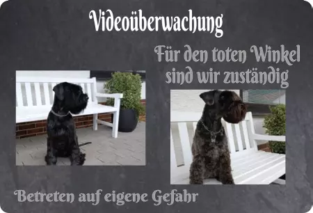 TierschildHunde Videoüberwachung Für den toten Winkel ... Schilder selbst gestalten TierschildHunde Videoüberwachung Für den toten Winkel ... Bild