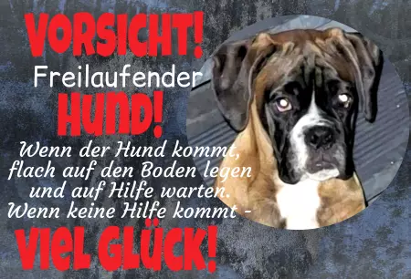 TierschildHunde VORSICHT - Freilaufender Hund Bild