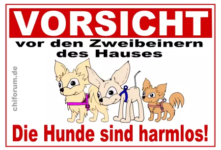TierschildHunde vorsicht Zweibeiner Bild