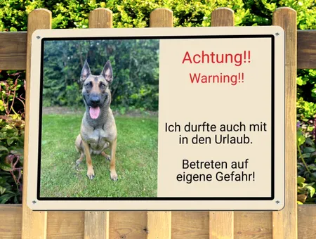 TierschildHunde Warning Bild