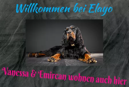 TierschildHunde Willkommen bei Elago Bild