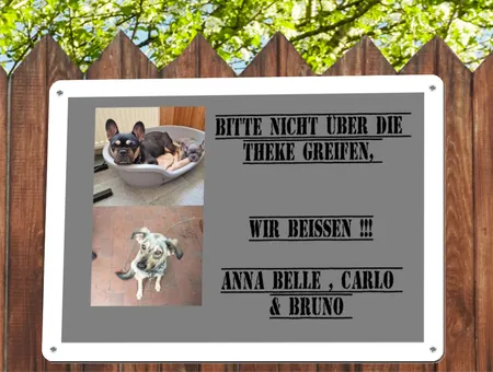 TierschildHunde WIR BEISSEN !!! Bild