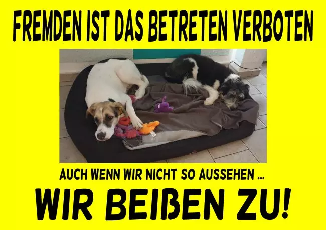 TierschildHunde Wir beißen zu! Bild